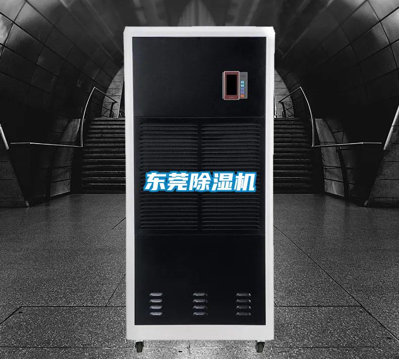 东莞茄子视频懂你更多在线观看