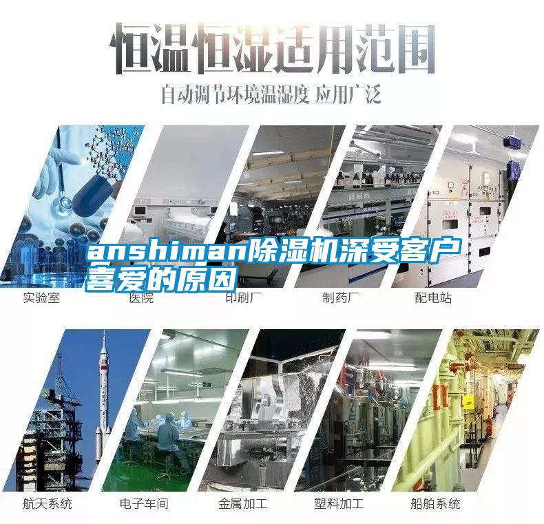 anshiman茄子视频懂你更多在线观看深受客户喜爱的原因