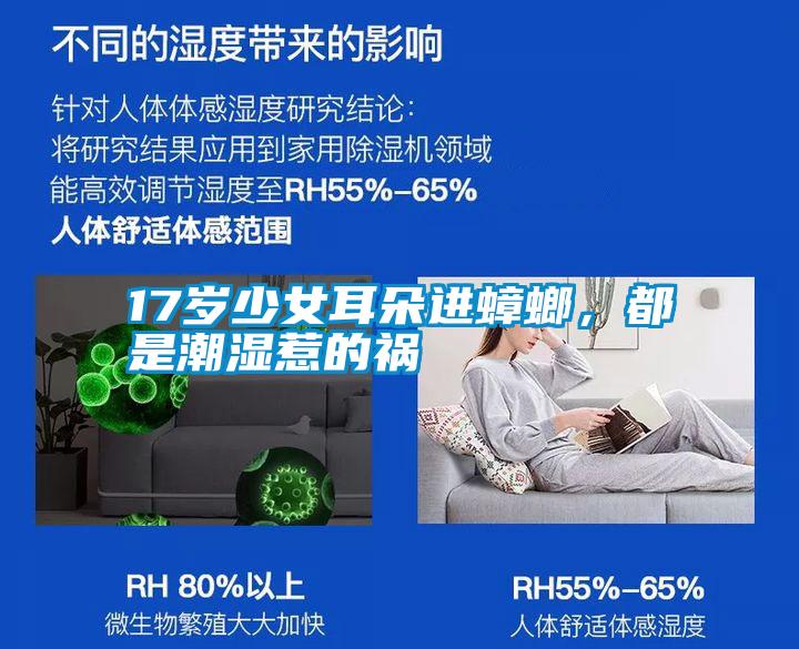 17岁少女耳朵进蟑螂，都是潮湿惹的祸