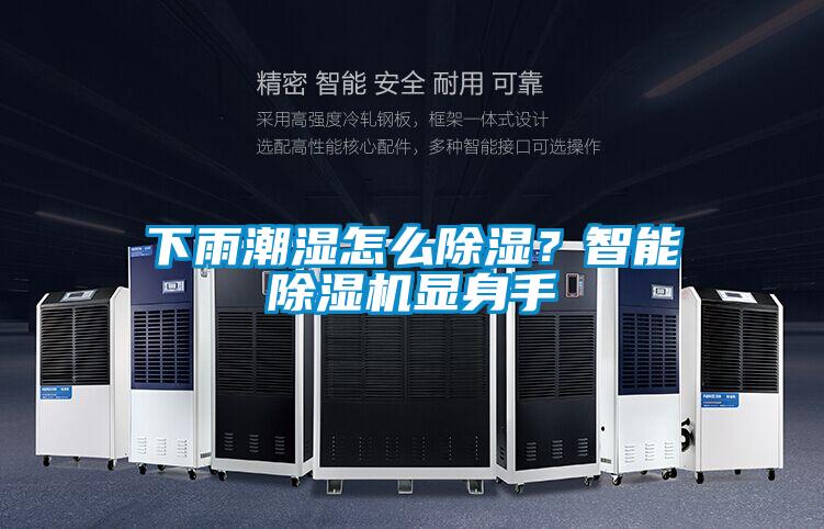 下雨潮湿怎么除湿？智能茄子视频懂你更多在线观看显身手