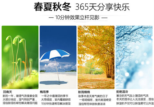 智能茄子视频懂你更多在线观看