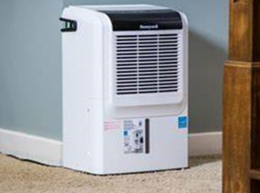 食品行业茄子视频懂你更多在线观看