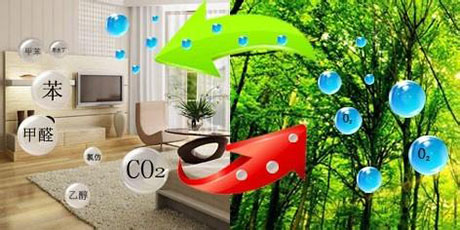 工业茄子视频懂你更多在线观看厂家