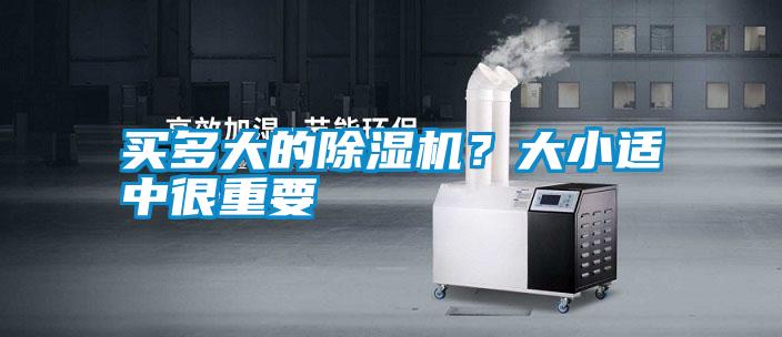 买多大的茄子视频懂你更多在线观看？大小适中很重要