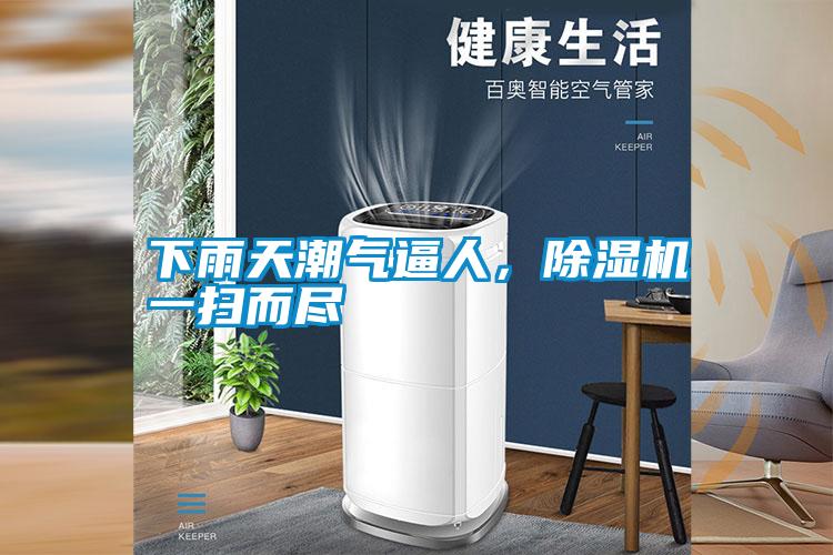 下雨天潮气逼人，茄子视频懂你更多在线观看一扫而尽