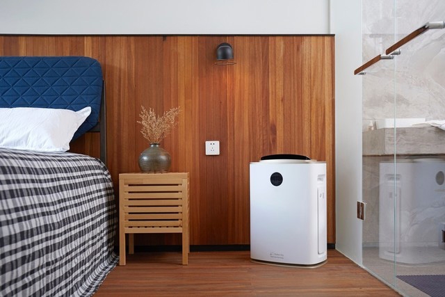 冷冻茄子视频懂你更多在线观看介绍