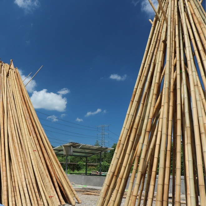 烘干茄子视频懂你更多在线观看