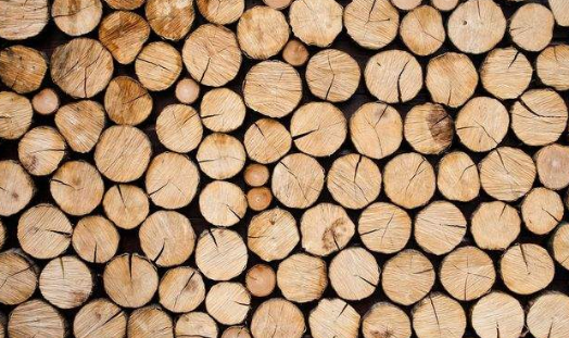 木材烘干茄子视频懂你更多在线观看