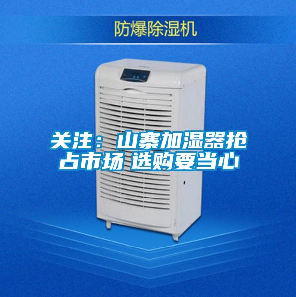 关注：山寨加湿器抢占市场　选购要当心