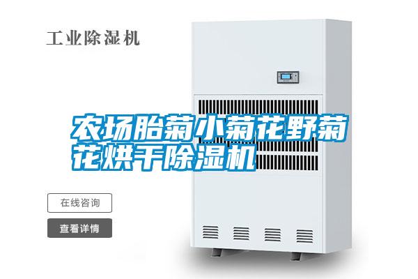 农场胎菊小菊花野菊花烘干茄子视频懂你更多在线观看