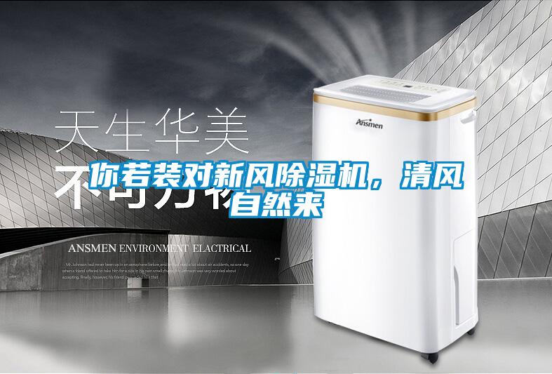 你若装对新风茄子视频懂你更多在线观看，清风自然来