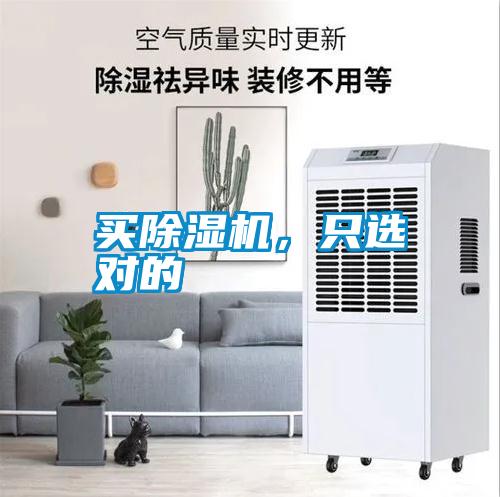 买茄子视频懂你更多在线观看，只选对的