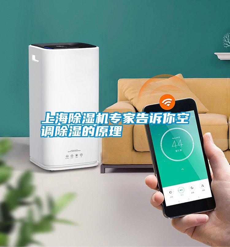 上海茄子视频懂你更多在线观看专家告诉你空调除湿的原理