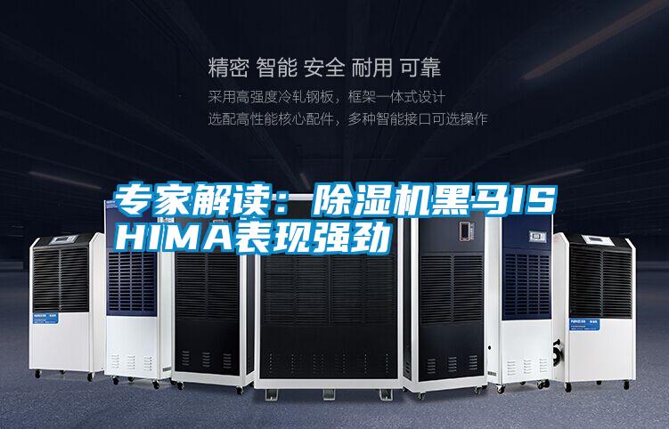 专家解读：茄子视频懂你更多在线观看黑马ISHIMA表现强劲