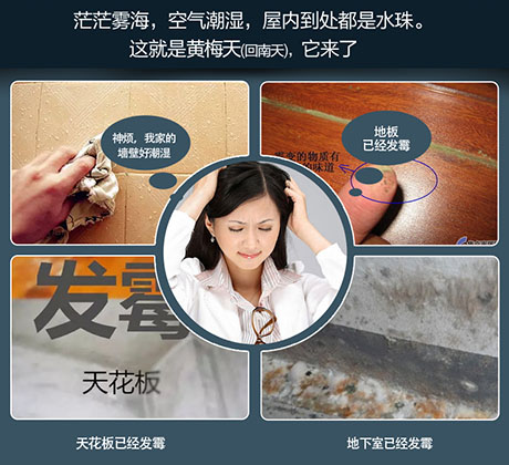 工业茄子视频懂你更多在线观看厂家