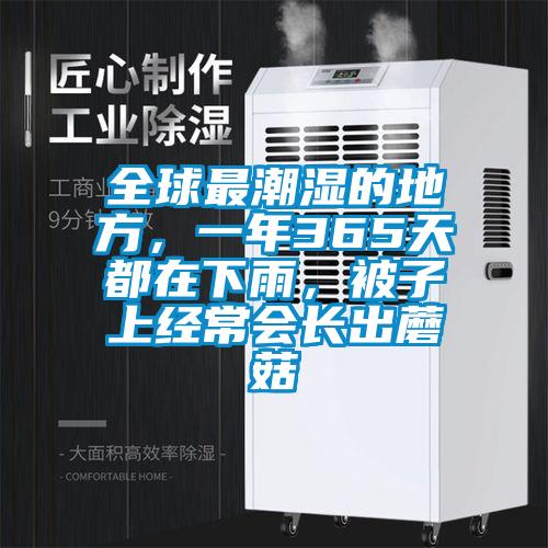 全球最潮湿的地方，一年365天都在下雨，被子上经常会长出蘑菇