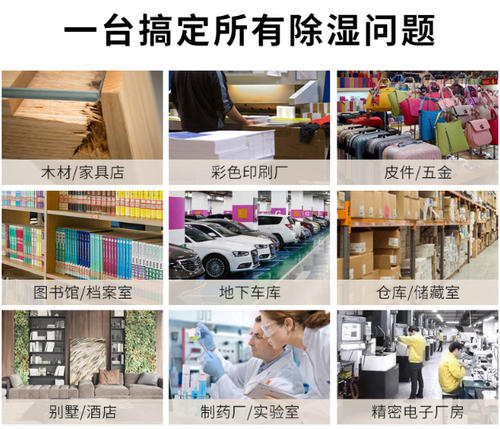 智能茄子视频懂你更多在线观看