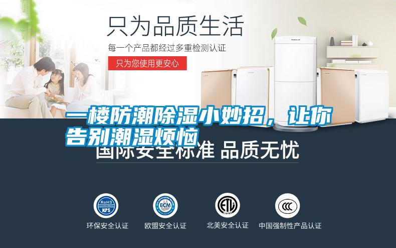 一楼防潮除湿小妙招，让你告别潮湿烦恼