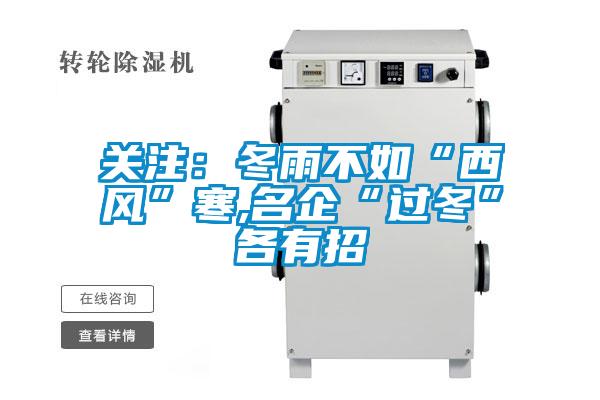 关注：冬雨不如“西风”寒,名企“过冬”各有招