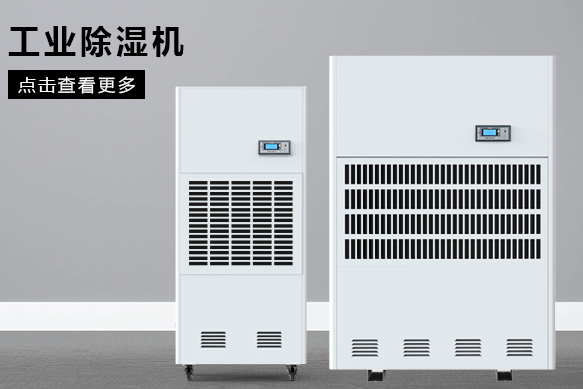 地下室茄子视频懂你更多在线观看