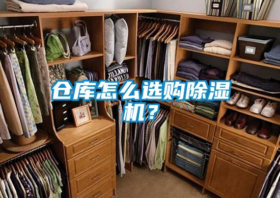 仓库怎么选购茄子视频懂你更多在线观看？