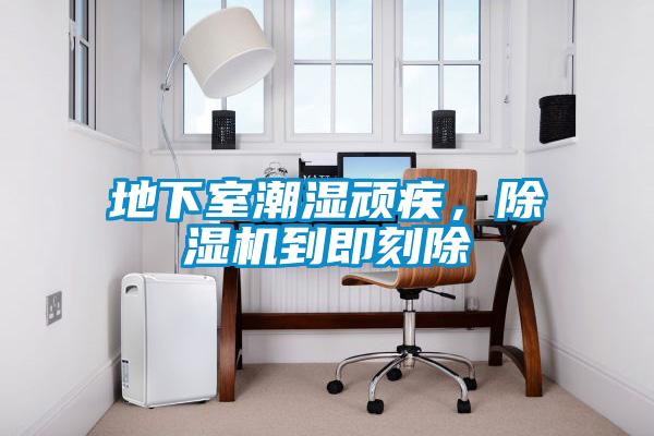 地下室潮湿顽疾，茄子视频懂你更多在线观看到即刻除