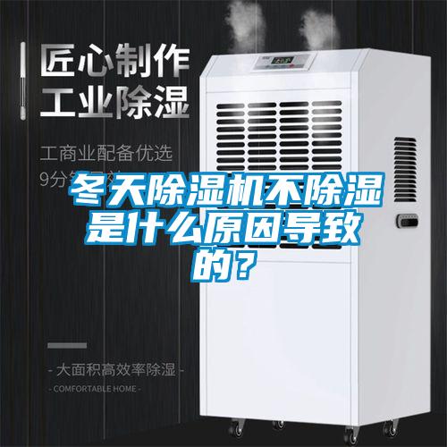 冬天茄子视频懂你更多在线观看不除湿是什么原因导致的？