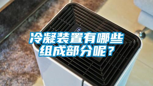 冷凝装置有哪些组成部分呢？