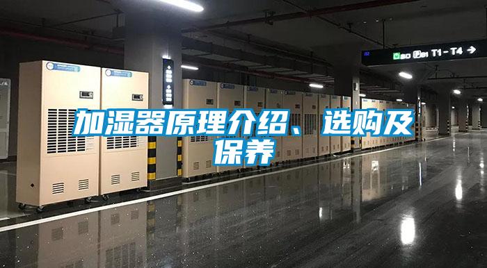 加湿器原理介绍、选购及保养