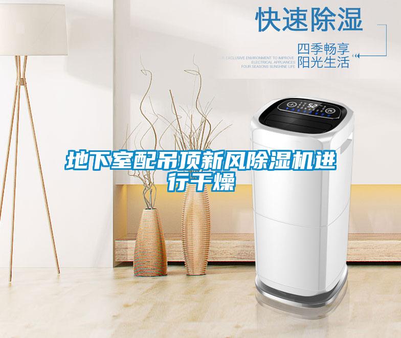 地下室配吊顶新风茄子视频懂你更多在线观看进行干燥