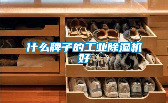 什么牌子的工业茄子视频懂你更多在线观看好