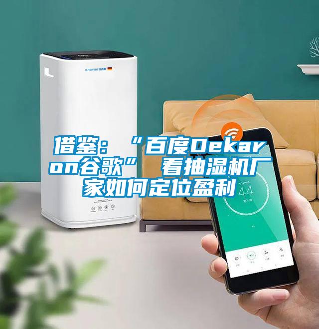 借鉴：“百度Dekaron谷歌” 看抽湿机厂家如何定位盈利