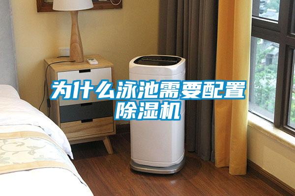 为什么泳池需要配置茄子视频懂你更多在线观看