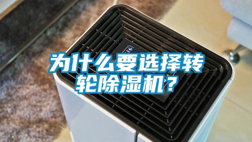 为什么要选择转轮茄子视频懂你更多在线观看？