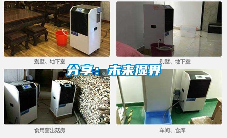 分享：未来湿界