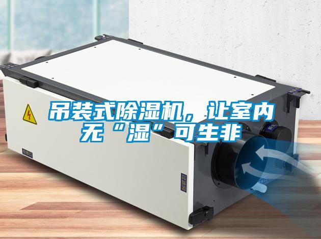 吊装式茄子视频懂你更多在线观看，让室内无“湿”可生非