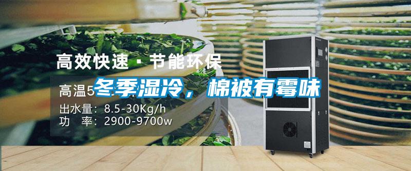 冬季湿冷，棉被有霉味