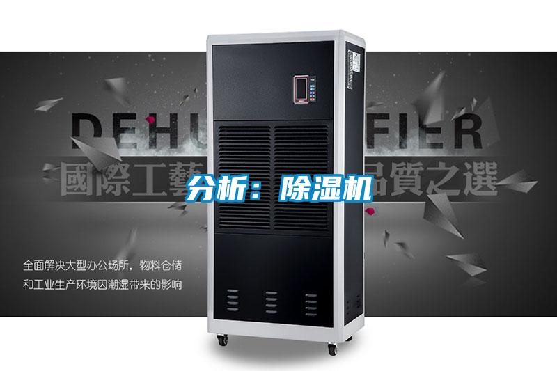 分析：茄子视频懂你更多在线观看