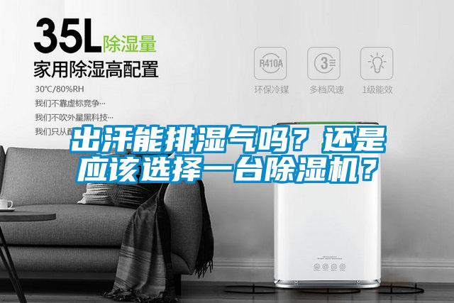 出汗能排湿气吗？还是应该选择一台茄子视频懂你更多在线观看？