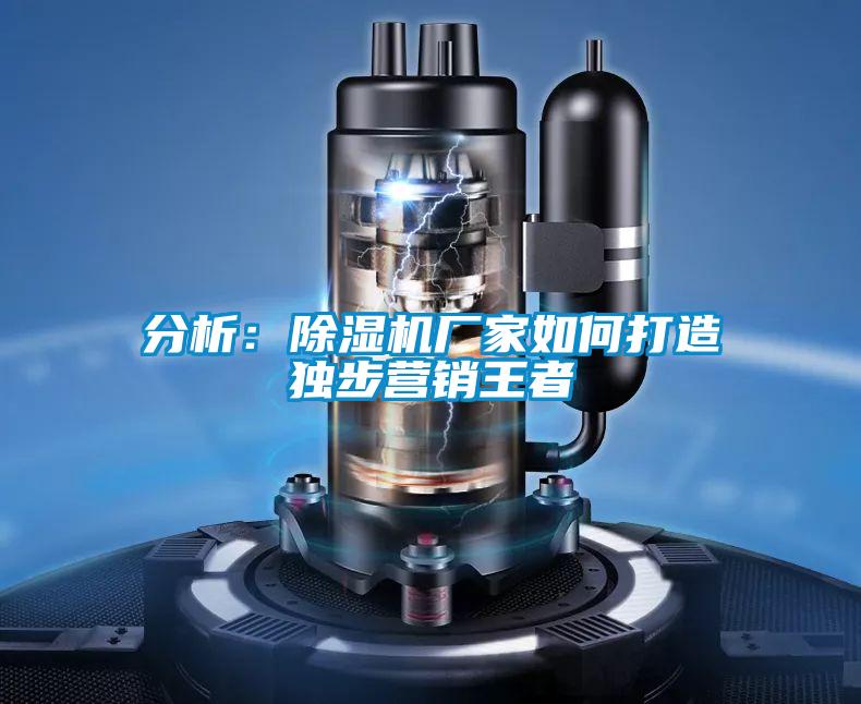 分析：茄子视频懂你更多在线观看厂家如何打造独步营销王者