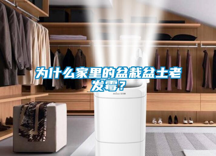 为什么家里的盆栽盆土老发霉？