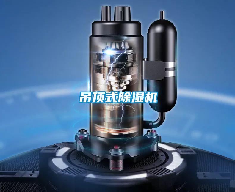 吊顶式茄子视频懂你更多在线观看