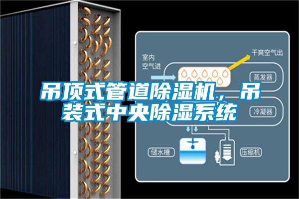 吊顶式管道茄子视频懂你更多在线观看，吊装式中央除湿系统