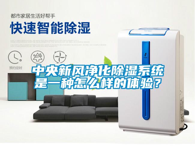 中央新风净化除湿系统是一种怎么样的体验？