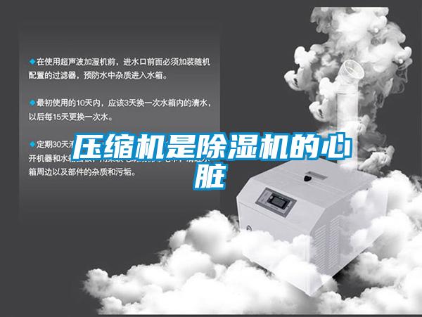 压缩机是茄子视频懂你更多在线观看的心脏