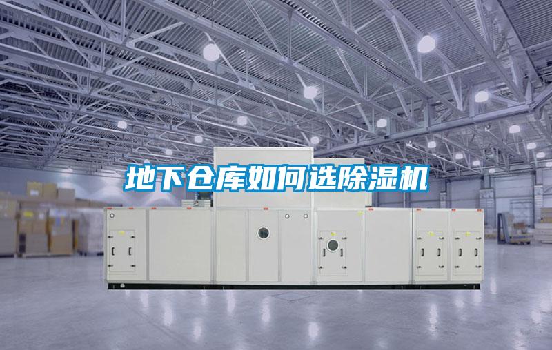 地下仓库如何选茄子视频懂你更多在线观看