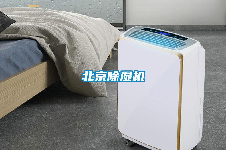 北京茄子视频懂你更多在线观看