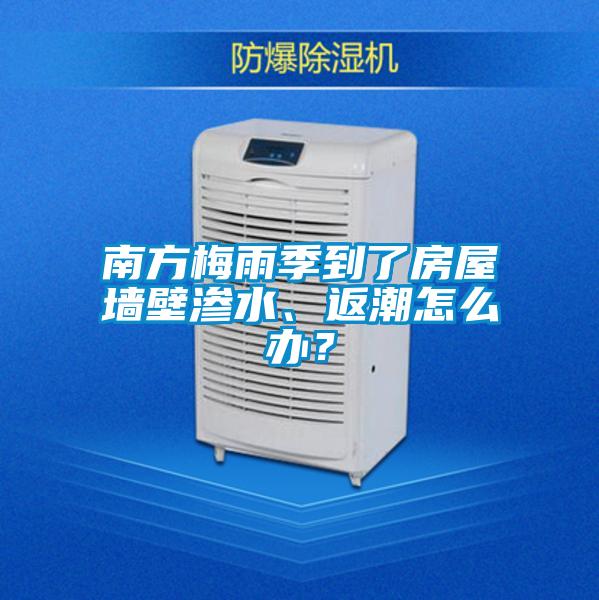 南方梅雨季到了房屋墙壁渗水、返潮怎么办？