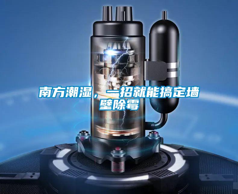 南方潮湿，一招就能搞定墙壁除霉