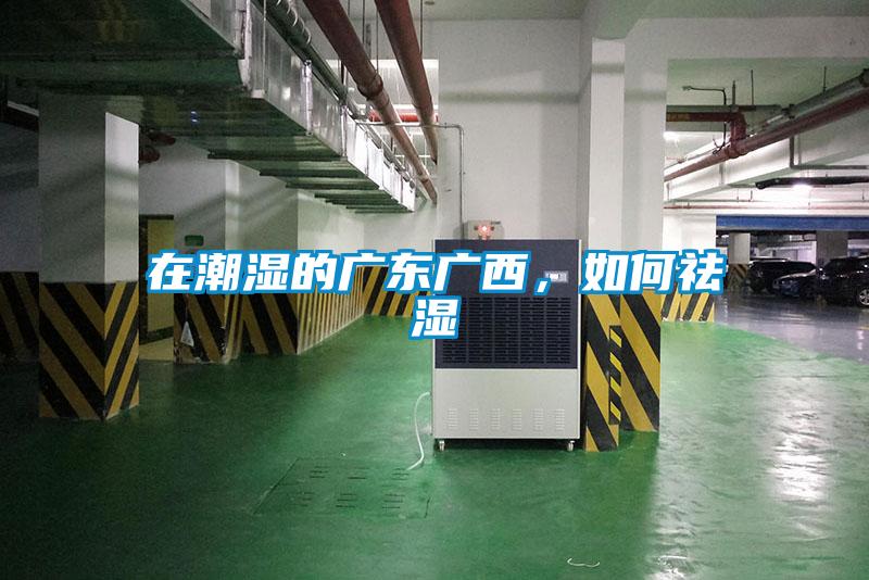 在潮湿的广东广西，如何祛湿